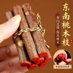 七枝桃木安宅枝 – 防借運門邊玄關安放，護家宅居家安放、出行平安隨身攜帶